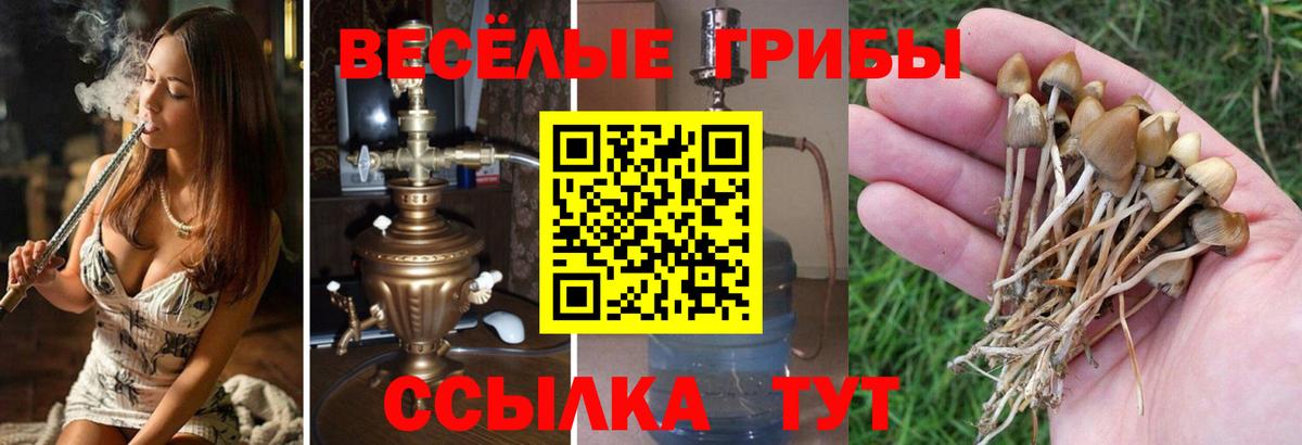 Псилоцибиновые грибы мухоморы  Вход с VPN  купить наркоту  Феодосия 